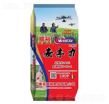 ���S��BB����17-17-6-�ԣ-���r