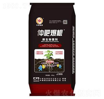 ΢�������-�зʱ���-�����ʘI(y��)