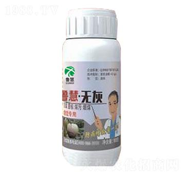 �o��-��������