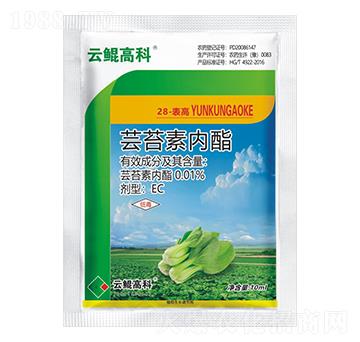 0.01%�|̦�؃�(n��i)֬����-���H�߿�-���˻��W