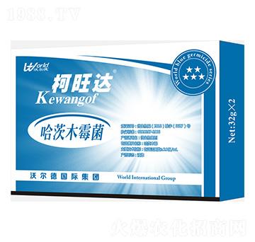 ����ľù��-�����_-��