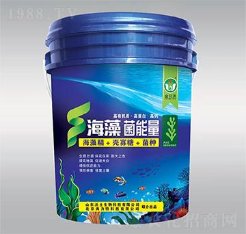 ���������-��ؐ��-����