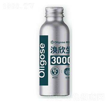 �o����3000-������