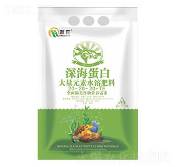 �����20-20-20+TE-������r(n��ng)