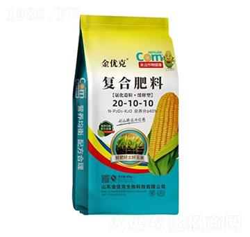 ��������������͏�(f��)�Ϸ���20-10-10-����(y��u)��