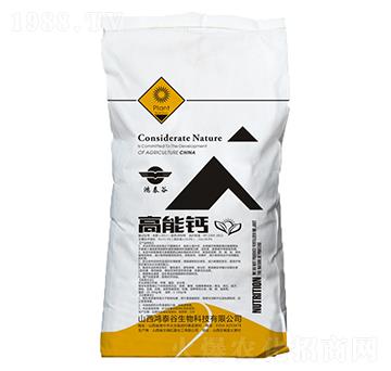 �����}-��̩��-��̩����