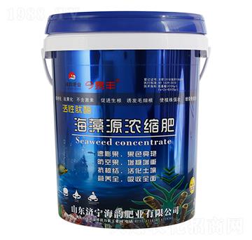 ������ø����Դ��s��-