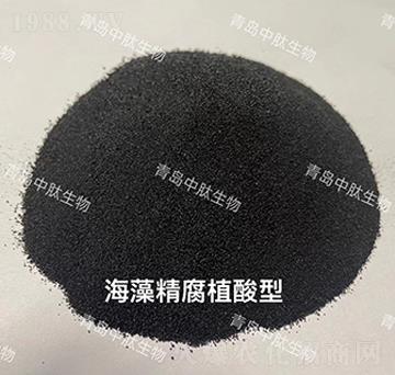 ���徫��ֲ����-���u��������