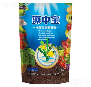 ���Ќ�-��������