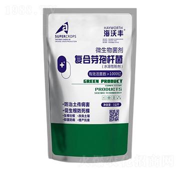 ��(f��)��ѿ�ߗU��-�����S-�����_����