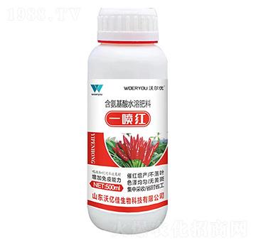 ����һ���t-�֠���(y��u)