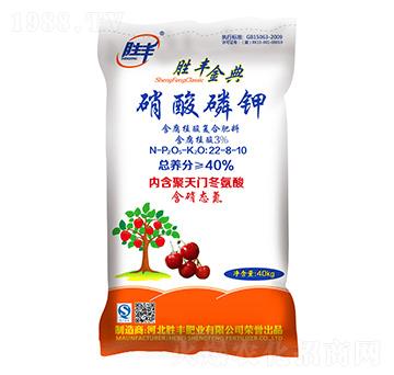 �������22-8-10-���S���-���S�ʘI(y��)