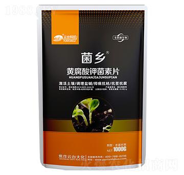 �S����⛾���Ƭ-���l(xi��ng)-