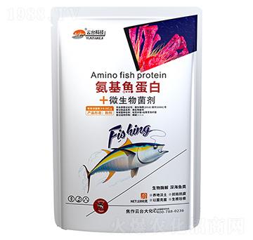 �����~����+΢�������