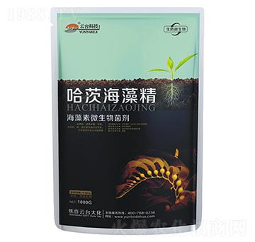 ���ĺ��徫-������΢��