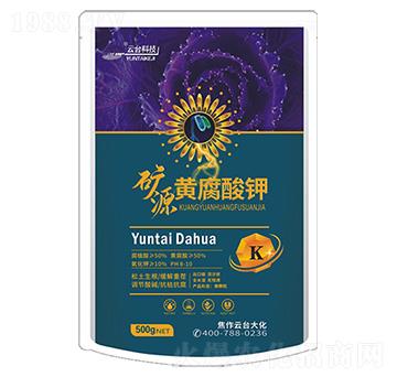 �VԴ�S�����500g-