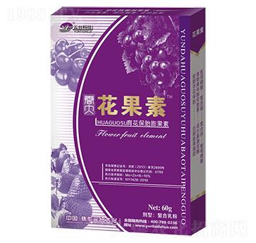 ������̥�����-������