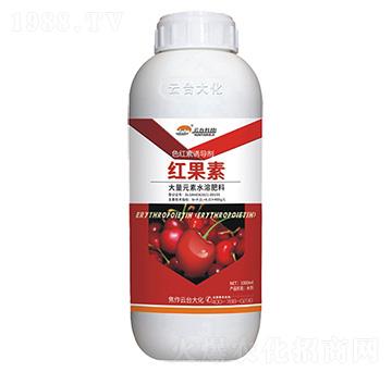 ɫ�t���T��(d��o)��-�t����-