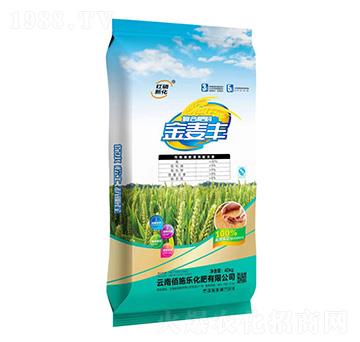 �ͺϷ���30-5-5-�����S-��ʩ������