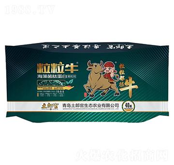 ��������������ĵ���-���ɹ�