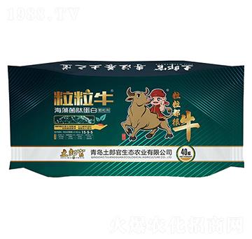 ����ţ������ĵ���-���ɹ�