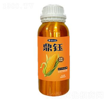 ���׌�(zhu��n)���x�ӿ������Ԅ�-���-������