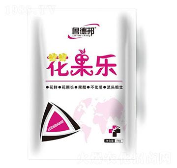 ������-��?sh��)°? />
                                </div>
                            </div>
                            
                            <style type=