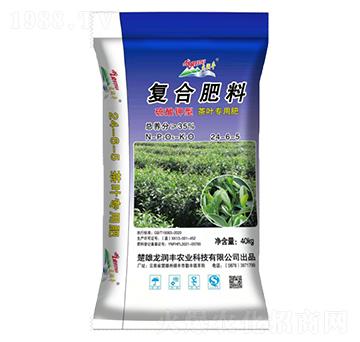 ���~�ͺϷ���24-6-5-�����S