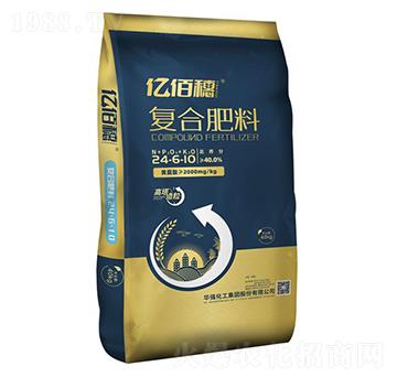 �ͺϷ���24-6-10-�|����-�A���������F