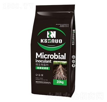 ΢�������-�Pِ�Z����-�Pِ�Z