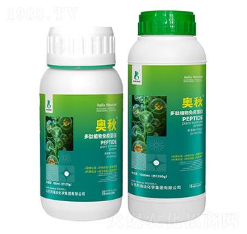 ����ֲ�����ߵ���-�W��-���r�W��