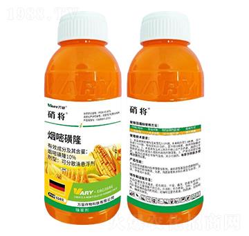 10%���׻�¡-����-�f��