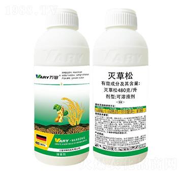 480���������-�f��