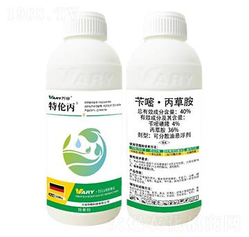 40%�S�ס����ݰ�-�؂���-�f(w��n)��