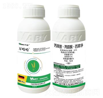 48%���ݰ������fͪ�����݃�-�f(w��n)����-�f(w��n)��