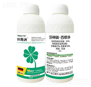 31%ɯ���ס����݃�-���-�f(w��n)��