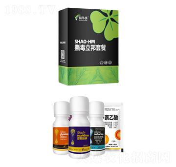 撕毒立邦套餐-韶華美