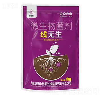 ���o(w��)��΢�������-��(chu��ng)�|�z-�ĳǿƄ�(chu��ng)