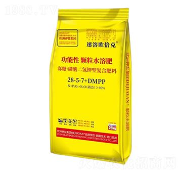 ���ǡ����������͏�(f��)�Ϸ���28-5-7+DMPP-���ܚW����-����}���H