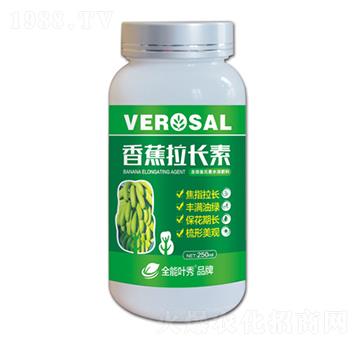 含氨基酸水溶肥料-香蕉拉長素-康諾肥業(yè)