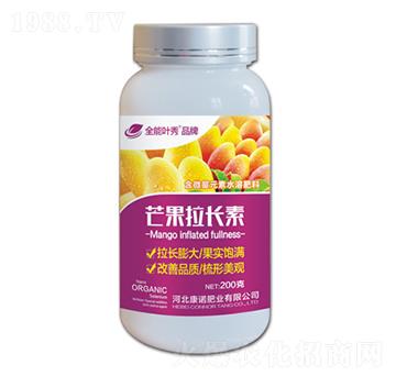 含氨基酸水溶肥料-芒果拉長(zhǎng)素-康諾肥業(yè)