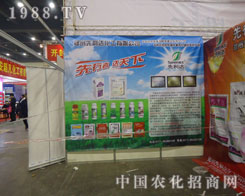 ������ �_����