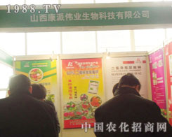 ɽ�����ɂ��I(y��)-2011ʯ���fֲ��������չλ