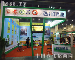 ����ʘI(y��)����ԭ�����p��������������