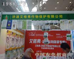 ���񸥡������N�����݌�����