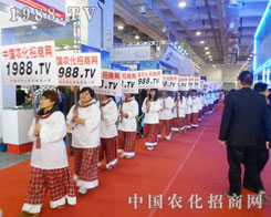 �e�۳ɹ��Ľ�(j��ng)򞣬1988.TV��δ�팢������