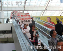 �r(n��ng)���W(w��ng)��(zh��n)ʿ�����p�����|����ƴ��һƬ�x�͵����