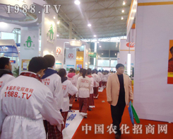 1988.TV׌��(j��ng)�N�̂�������ϣ��