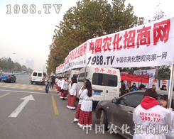 2012���13���׏ͷʕ��h���҂��ĈF�׷������