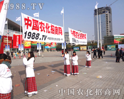 �r(n��ng)���W(w��ng)�F(tu��n)�(du��)����Ͷ�����ի@�ɹ�